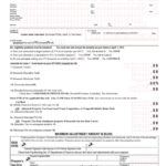 Claim Adjustment Form