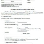 Confirmation And Amending The Chapter 13 Repayment Plan