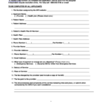 Fillable Provider And Insurer Application Form Nys Independent