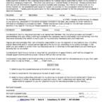 Limited Power Of Attorney payment Agreement Printable Pdf Download