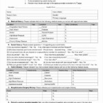 Patient Safety Plan Template Beautiful Free Health Assessment Form In