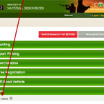Tutorial How To Pay Your Citations Online