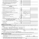 Form 5500 Instructions 5 Steps To Filing Correctly 2023
