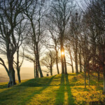 Home South Downs National Park Authority