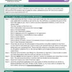 Ireland Form Application 2021 2022 Template In MS Word DOC PdfFiller