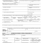 IRS Form 13287 Download Fillable PDF Or Fill Online Bank Payment