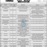 Ministry Of Planning Development Jobs 2023 Apply Now