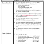 PPT Peach State Health Plan Medicaid HMO June 1 2006 PowerPoint