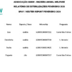 Relat rio De Esteriliza es Fevereiro 2020 Associa o AMAW Madeira