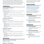 10 Academic Advisor Resume Examples Guide For 2025