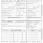 2003 2025 Form NY PHY 0738 Fill Online Printable Fillable Blank PdfFiller