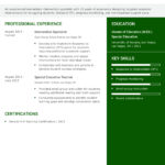 25 Best Elementary Teacher Resume Examples And Templates For 2025 ResumeBuilder