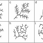 A Novel Approach To The Classification Of Terrestrial Drainage Networks Based On Deep Learning And Preliminary Results On Solar System Bodies Scientific Reports