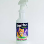 Amazon Purrfect Potion CATastrophe Remover 32oz Spray Bottle Health Household