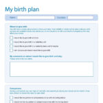 Birth Plan blank form NHS Choices Pregnancy Baby