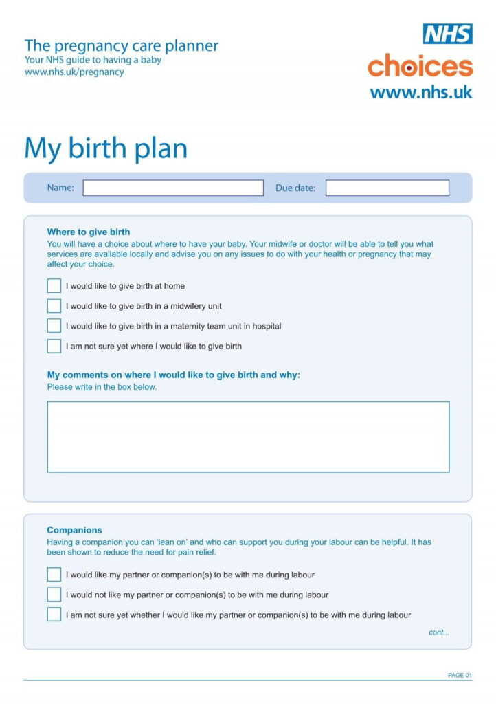 Birth Plan blank form NHS Choices Pregnancy Baby