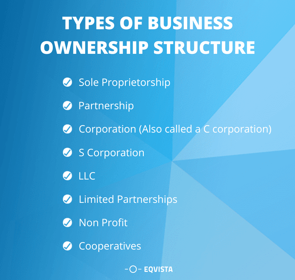 Business Structure Guide Eqvista