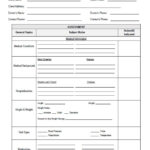 Client Assessment Form Etsy