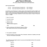 Dissolution Without Meeting Shareholders Fill Online Printable Fillable Blank PdfFiller
