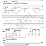 FAA Form 7233 4 International Flight Plan