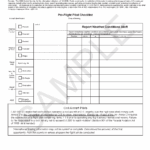FAA Form 7233 4 International Flight Plan