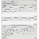 Flight Planning What Are The Mandatory Elements Of An ICAO Flightplan Aviation Stack Exchange