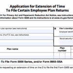 Form 5500 EZ 2017 Updated Guide Solo 401k