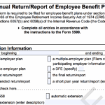 Form 5500 Instructions 5 Steps To Filing Correctly ForUsAll Blog