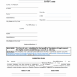 Free Ohio Custody Parenting Plan Agreement PDF EForms