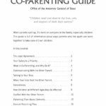 Free Texas Custody Parenting Plan PDF EForms