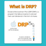 Introduction Dividend Reinvestment Plan DRP DRIP Example Calculation No Money Lah