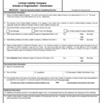 Llc 1a Documents Fill Out Sign Online DocHub