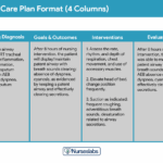 Nursing Care Plan NCP Ultimate Guide List 2025 Update Nurseslabs
