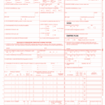 Nyship Claim Form Fill Out Sign Online DocHub