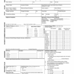 Physical Therapy Treatment Plan Template Fill Out Sign Online DocHub