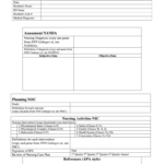 Printable Care Plan Template Fill Out Sign Online DocHub