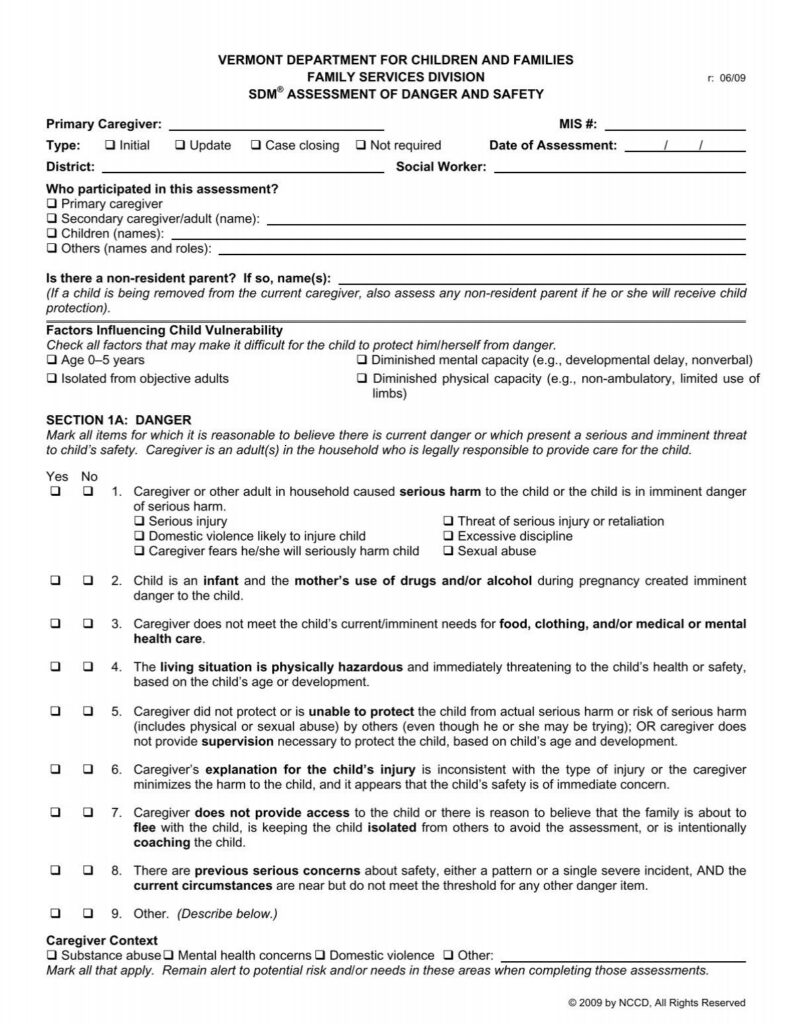 SDM Assessment Of Danger And Safety Tool Department For 