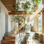 Ten Interiors From Homes Featuring Verdant Indoor Trees