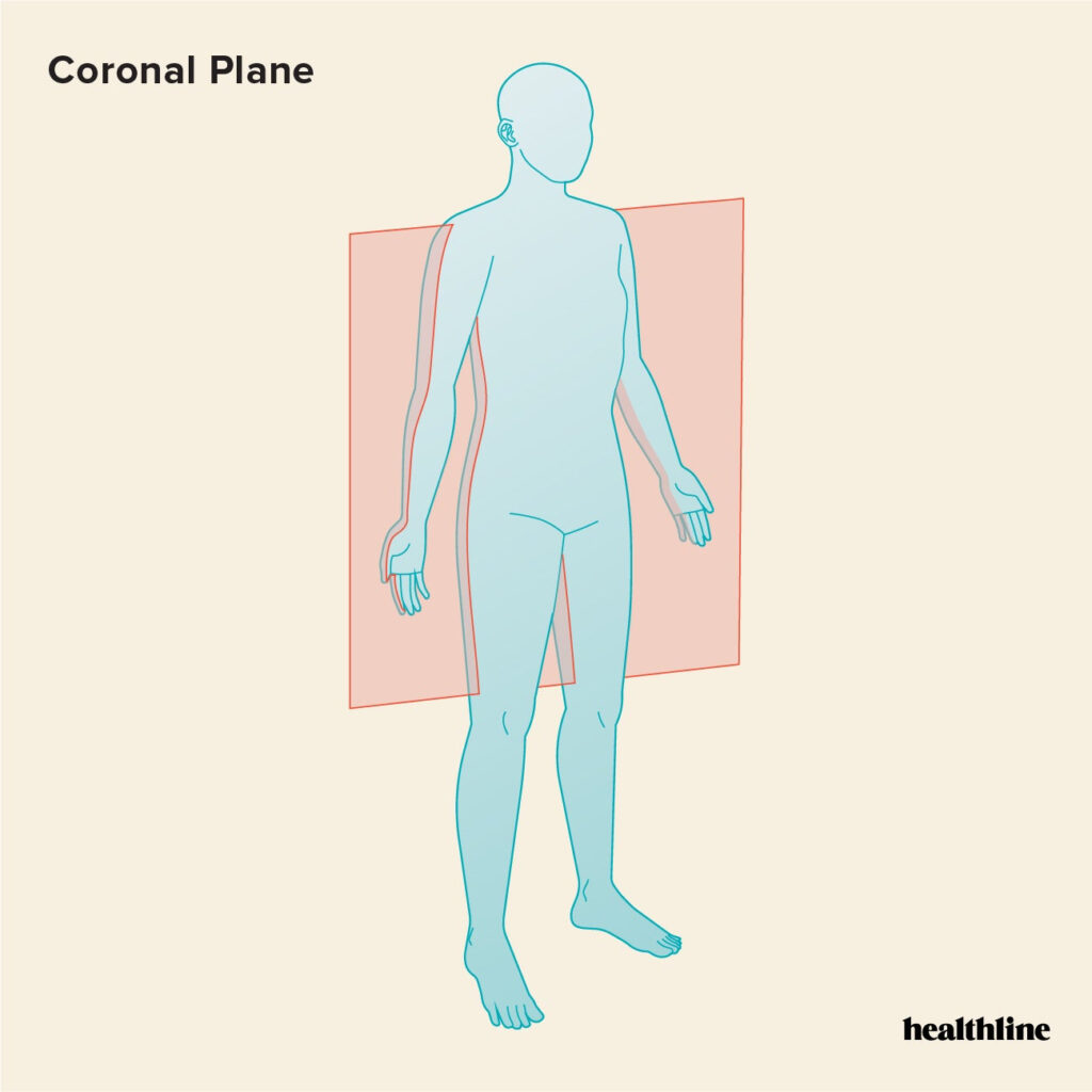 The 3 Anatomical Body Planes And The Movements In Each